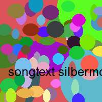 songtext silbermond sein beste