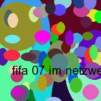 fifa 07 im netzwerk spielen